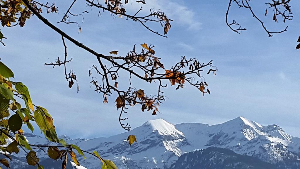 Oase Zum Sein Daire Spiez Dış mekan fotoğraf